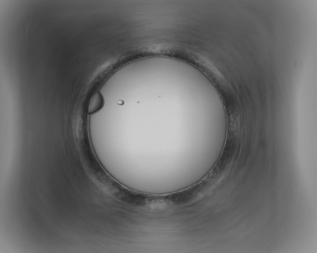 X0000110770587200906291050