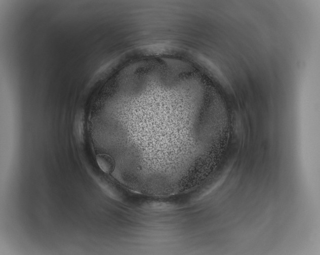 X0000110770590200906291050