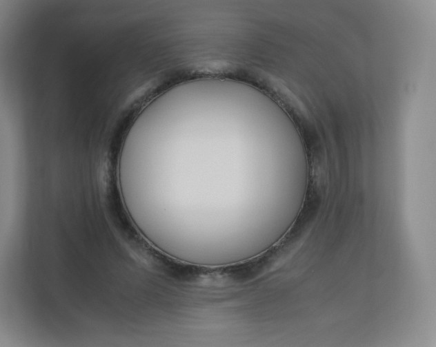 X0000110770591200906291050