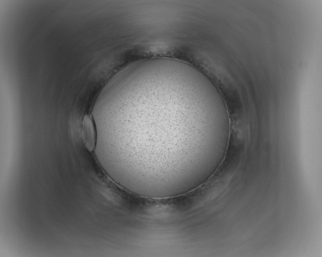 X0000110770593200906291050