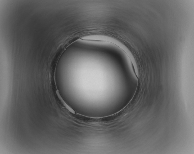 X0000110770595200906291049