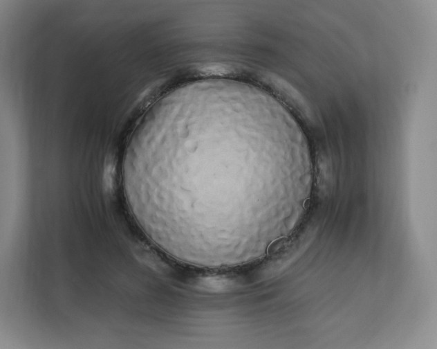 X0000110770596200906291049