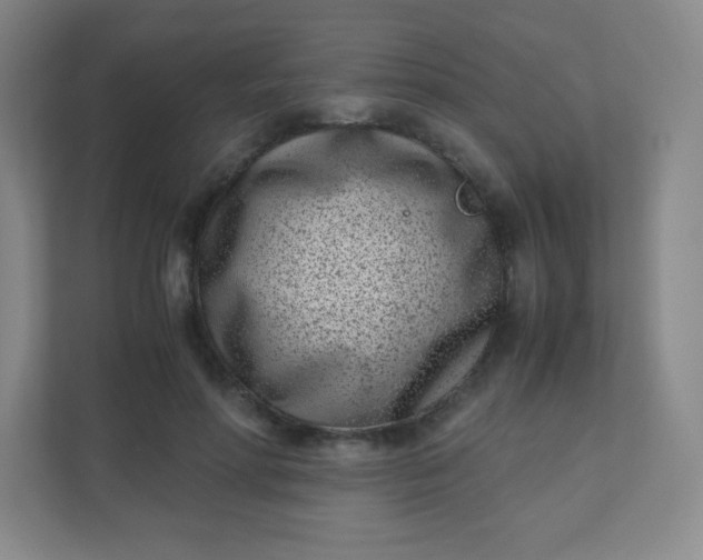 X0000110770598200906291049