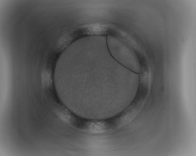 X0000110770599200906291049