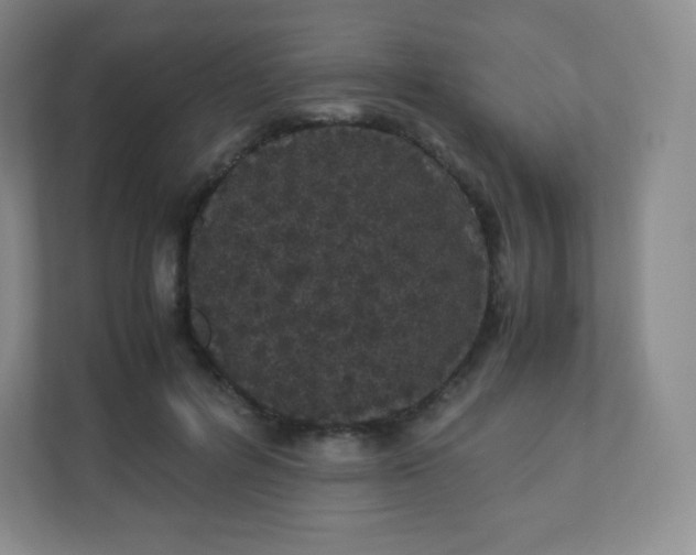 X0000110770600200906291049