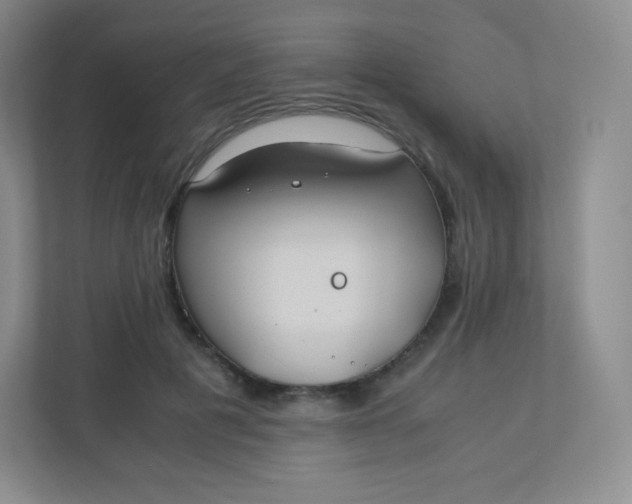 X0000110770601200906291049