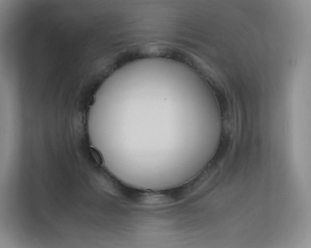 X0000110770605200906291049