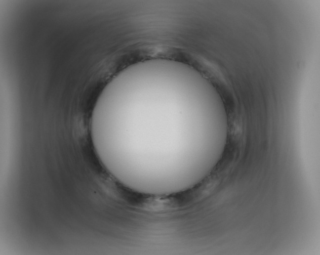 X0000110770607200906291049