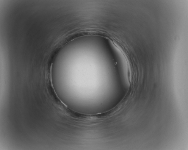 X0000110770609200906291049