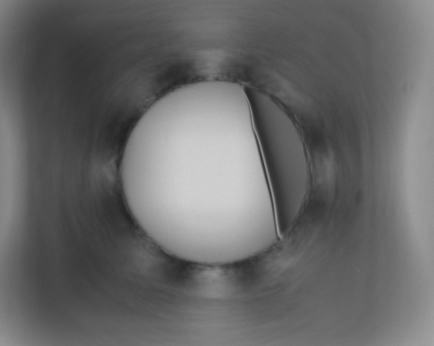 X0000110770611200906291049