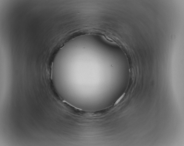 X0000110770613200906291049