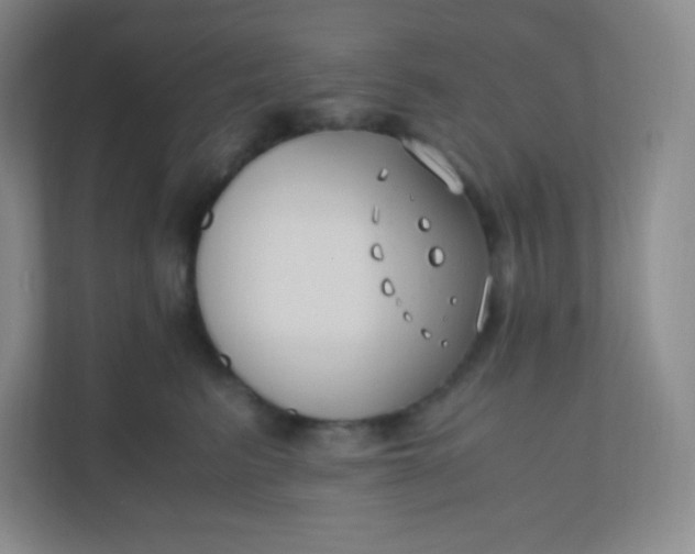 X0000110770615200906291049