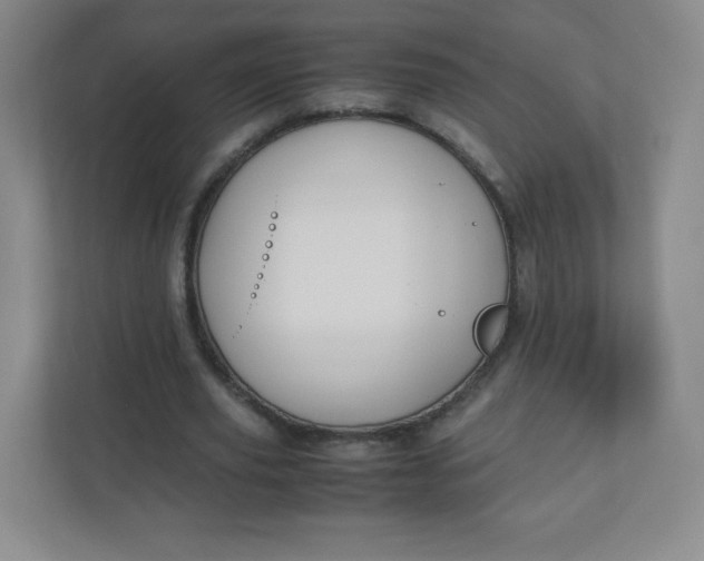 X0000110770629200906291049