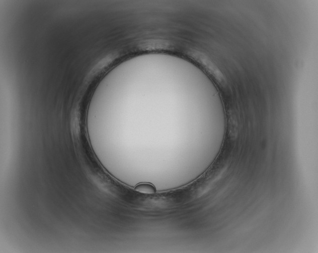 X0000110770631200906291049