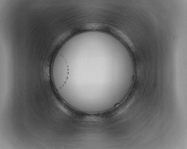 X0000110770633200906291049