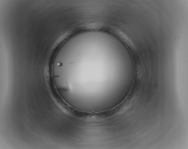 X0000110770634200906291049