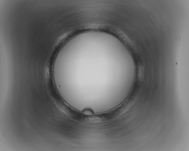 X0000110770636200906291049