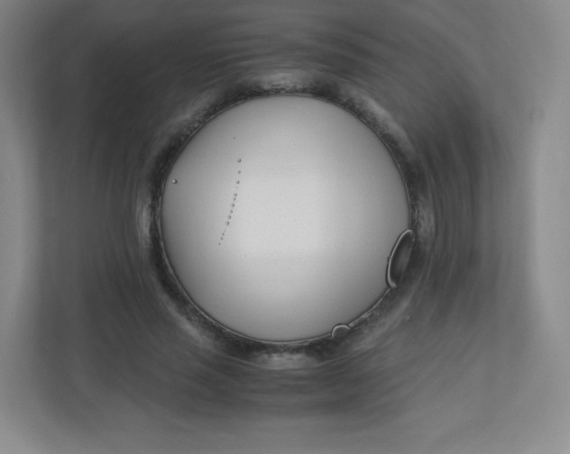 X0000110770637200906291049