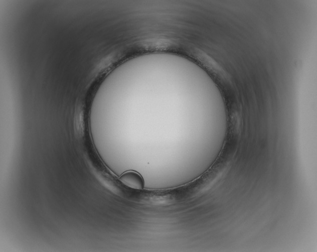 X0000110770638200906291049