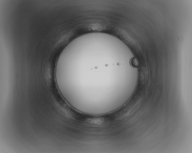 X0000110770639200906291049