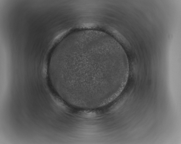 X0000110770640200906291049