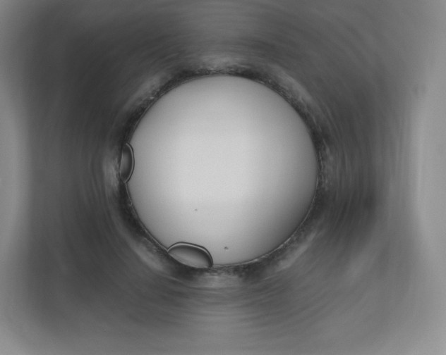 X0000110770644200906291049