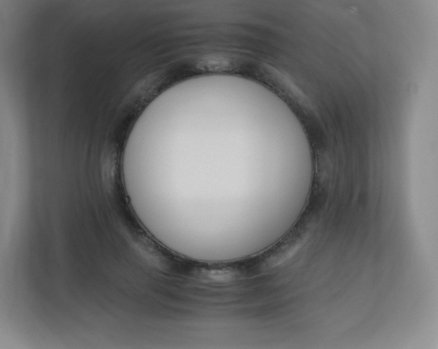 X0000110770645200906291049