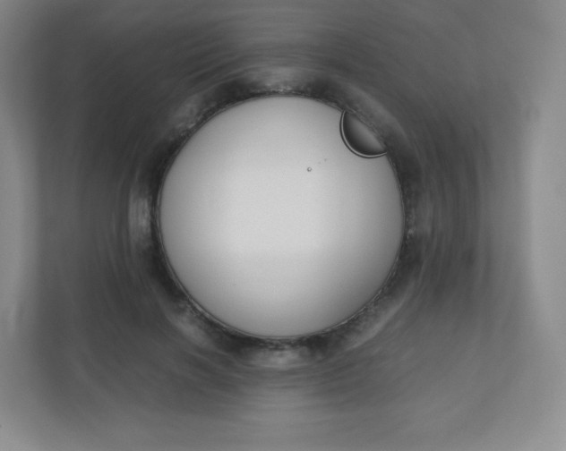 X0000110770646200906291049