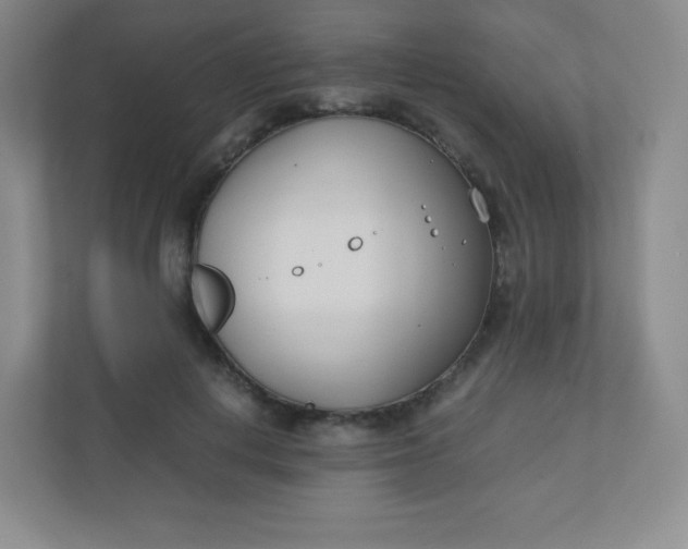 X0000110770648200906291049