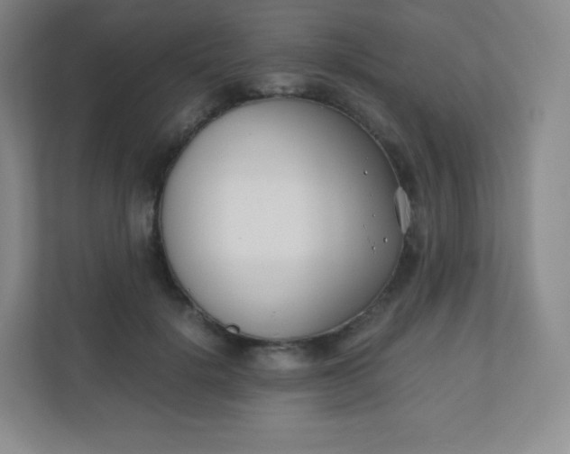 X0000110770652200906291049