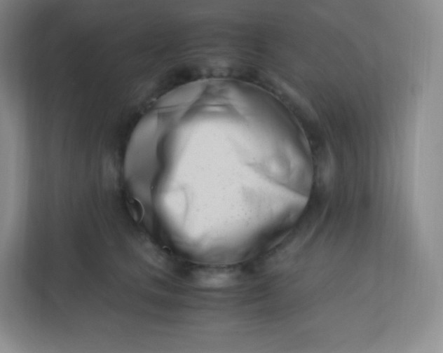 X0000110770661200906291049