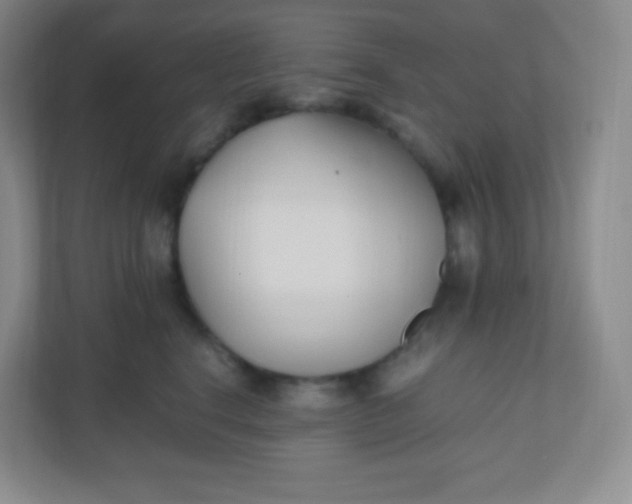 X0000110770664200906291049