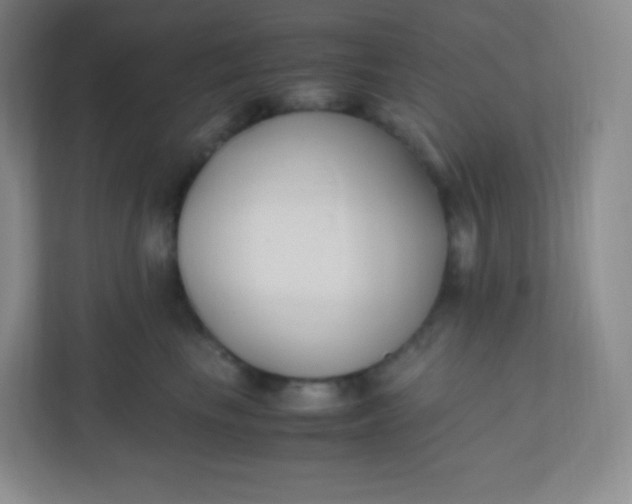 X0000110770665200906291049