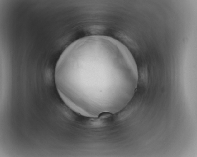 X0000110770667200906291049