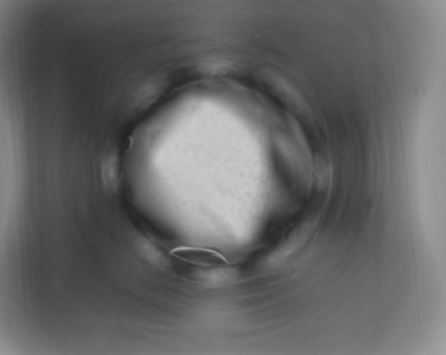 X0000110770670200906291049