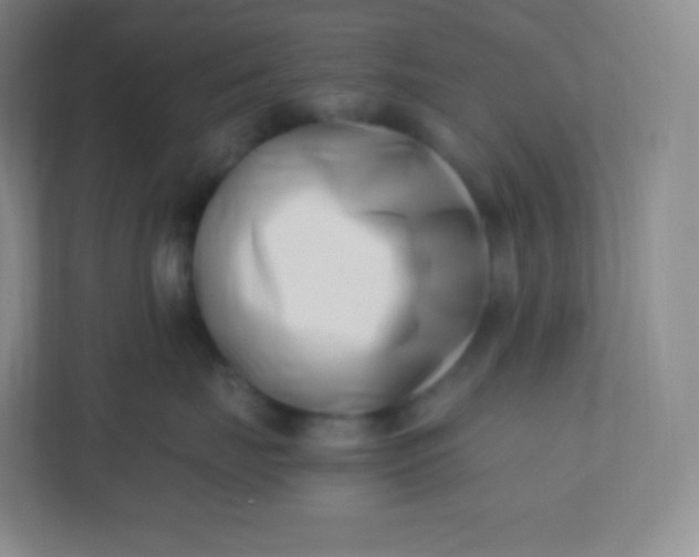 X0000110770671200906291049