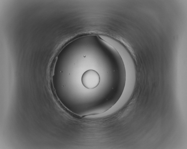 X0000110770673200906291048