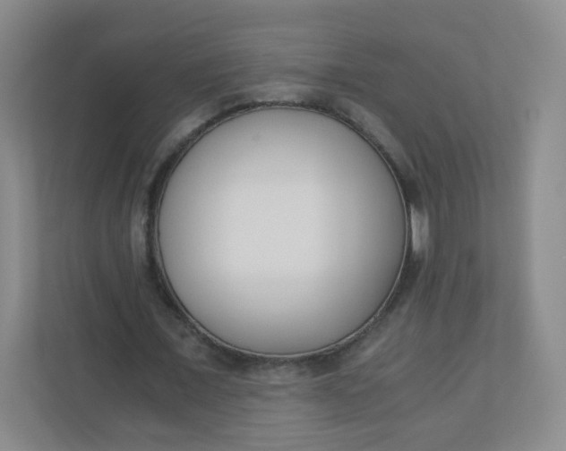 X0000110770675200906291048