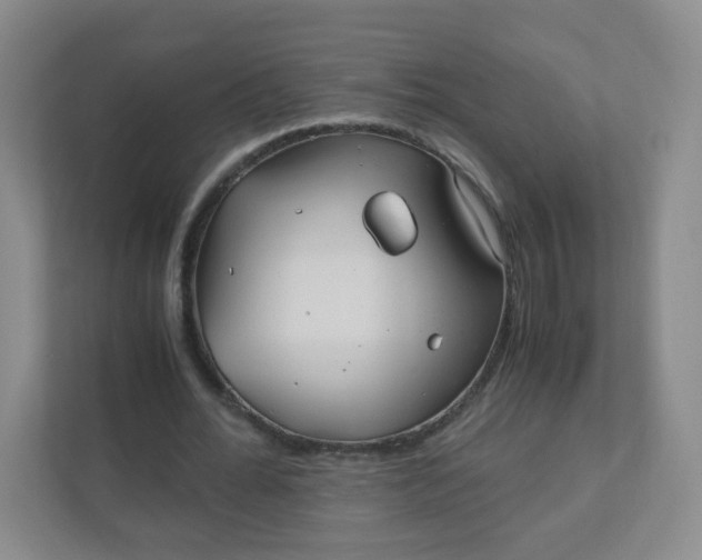 X0000110770676200906291048