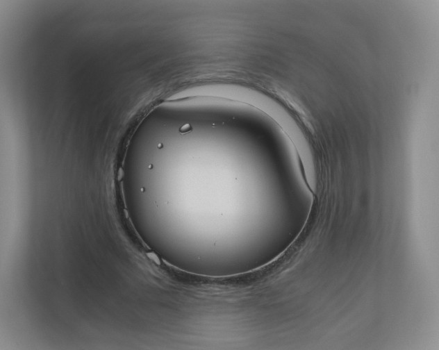 X0000110770681200906291048