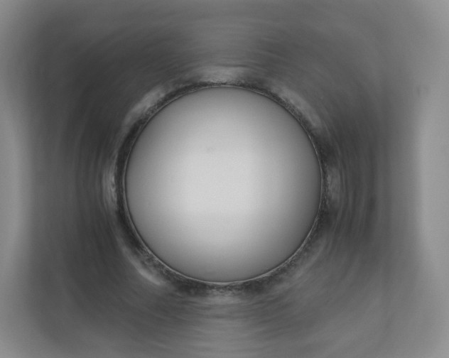 X0000110770682200906291048