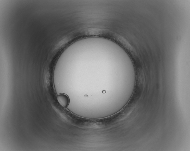 X0000110770683200906291048