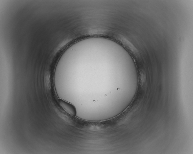 X0000110770684200906291048