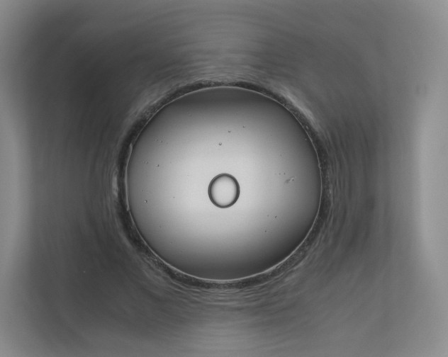 X0000110770685200906291048