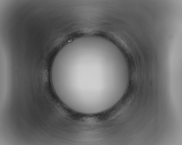 X0000110770689200906291048