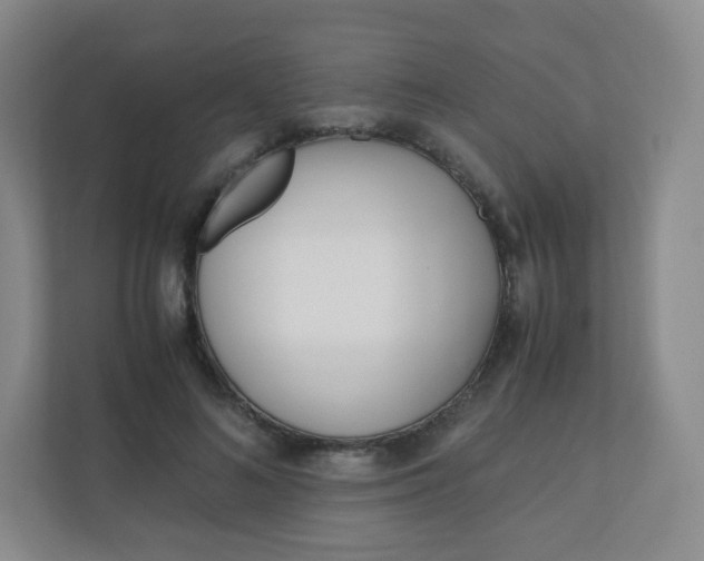 X0000110770692200906291048