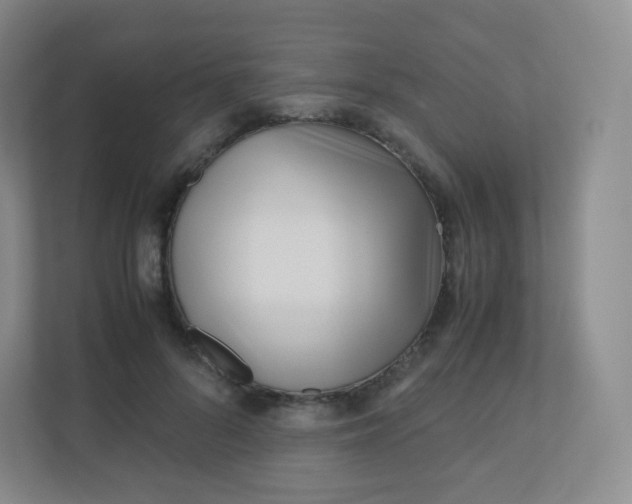 X0000110770696200906291048