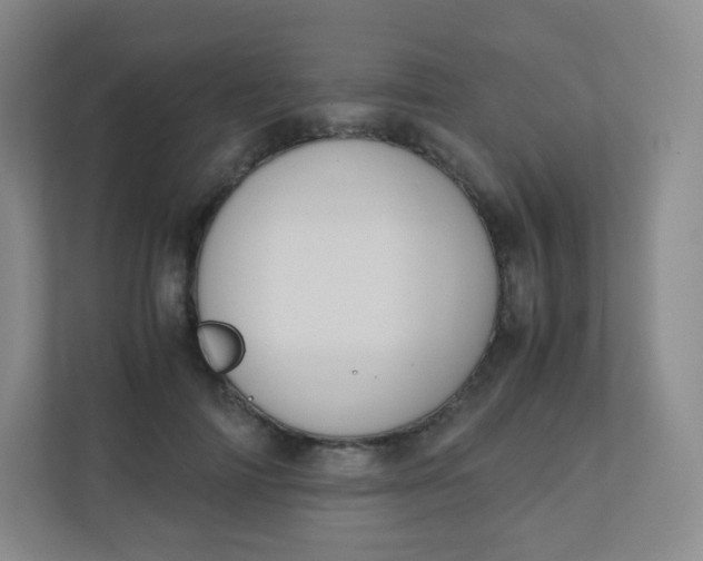 X0000110770698200906291048