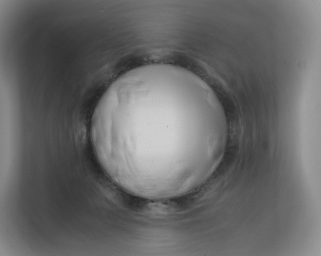 X0000110770703200906291048