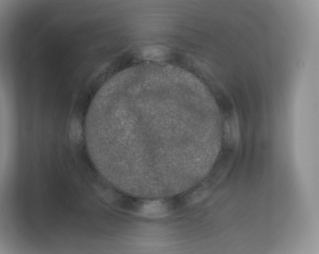 X0000110770705200906291048